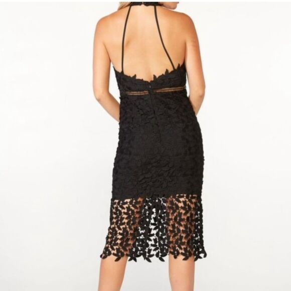 BARDOT BLACK LACE GEMMA HALTER COCKTAIL DRESS SIZE 6 SMALL - Picture 2 of 16